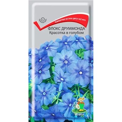 Семена Флокс Друммонда Красотка в голубом, арт.: 4940