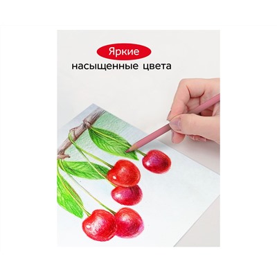 Карандаши цветные Гамма, 12цв., квадратные, пастельн., заточен., метал. пенал
