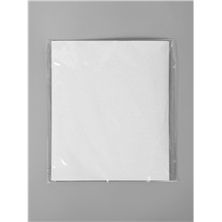 Клейкая лента двухсторонняя «Круглый белый» диаметр 1 см на листе 494 шт. 29.5×25 см