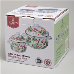 НАБОР КАСТРЮЛЬ AGNESS ЭМАЛИРОВАННЫХ СЕРИЯ "ФРУКТЫ", 4ПР. 1,5Л И 2,8Л, 16Х10СМ, 20Х12СМ