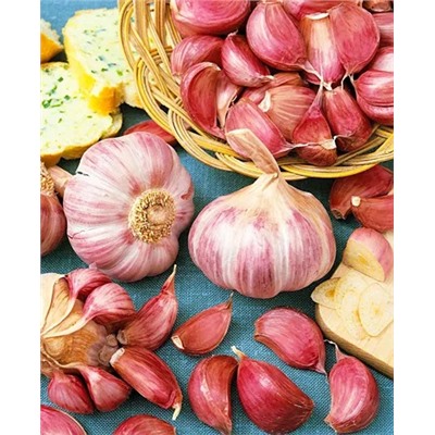 Чеснок озимый Башкирский 85 10шт, арт.: 1274