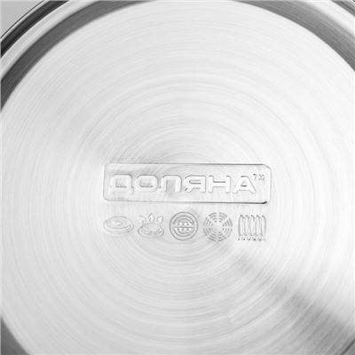 Чайник со свистком Доляна «Горошек», 2.8 л, нержавеющая сталь, хромированный