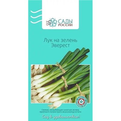 Лук на зелень Эверест, арт.: 3766