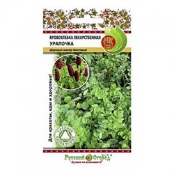 Семена Кровохлёбка лекарственная Уралочка, арт.: 12938