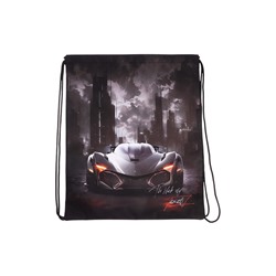 Мешок для обуви, 435×360 мм, Stavia (плотность 600D) «Машина + небоскребы»