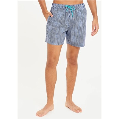 Stripe Regular Swim Shorts
