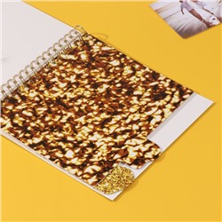 Фотоальбом на спирали 20 листов «Моё zoloto», объёмный элемент и 4 вкладки, 24×24 см