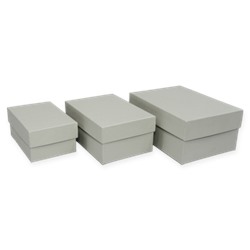 Набор коробок - прямоугольник 3 шт, Платина 6, 11,5*7,5*5,3 см.-15,5*11,5*7,3 см.