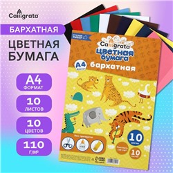 Набор бумаги бархатной А4, 10 листов, 10 цветов, плотность 110г/м2