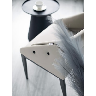 Стул SHT-S170
                        светло-серый