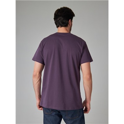 Футболка мужская арт. 02285/Brand