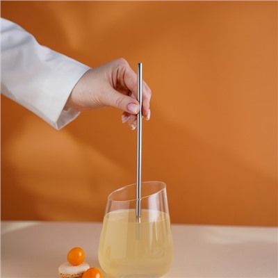 Набор металлических трубочек Straws, 6 шт., 21 см, сталь 304