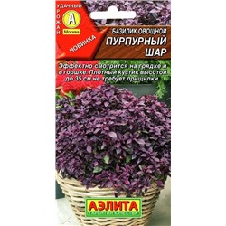 Базилик Пурпурный Шар темно-фиолет.