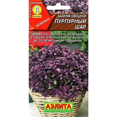 Базилик Пурпурный Шар темно-фиолет.