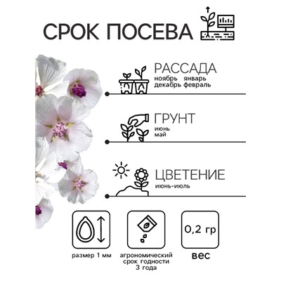 Семена Алтей лекарственный "Целитель", 0,2 г