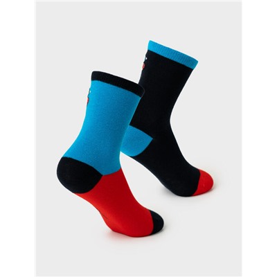 Носки для мальчика, 2 пары в комплекте