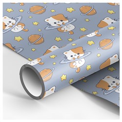 Бумага упаковочная 70*100см MESHU "Space kitten" 80г/м2 MS_62840/Россия