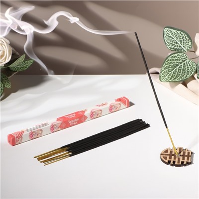 Благовония «Мысли Здоровая семья», 8 палочек