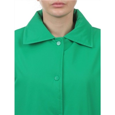 H24-216 GREEN Куртка демисезонная женская (100 гр. синтепон)
