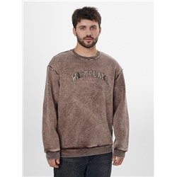 СВИТШОТ МУЖСКОЙ 121801/1