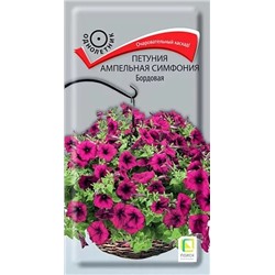 Петуния ампельная Симфония Бордовая, арт.: 70632