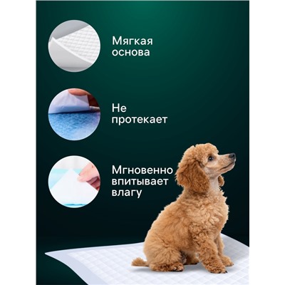 Пеленки впитывающие "Мой выбор" целлюлозные, 60 х 40 см, набор 5 шт