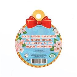 Медаль «Выпускник начальной школы!», 10×10 см