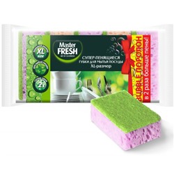 Губки д/мытья посуды Master FRESH XL (bubble-поролон) 10шт