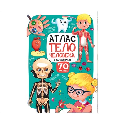 Атлас. Тело человека