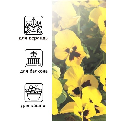 Семена Виола "Майя Виттрока", ц/п,  0,05 г