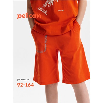 Шорты для мальчика