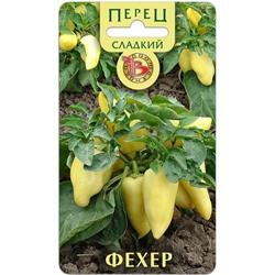 Перец сладкий Фехер
