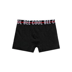 Трусы-боксеры для мальчика, 3 шт. в комплекте