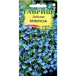 Семена Лобелия Кембридж, арт.: 4162