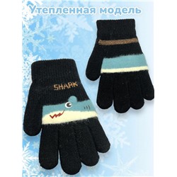 Перчатки для мальчиков Арт 2023/12 модель 1