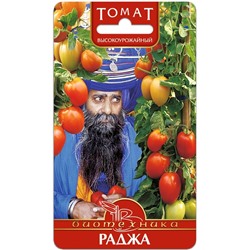 Томат Раджа