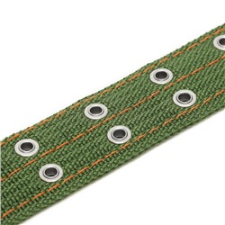 Ошейник четырехслойный с вертлюгом, 65×4 см, ОШ 54-60 см, полиэстер, зелёный