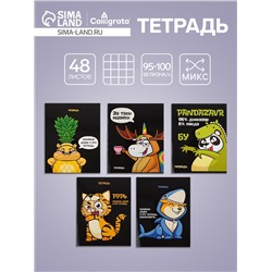 Тетрадь 48 листов в клетку, Calligrata «Кигуруми», обложка мелованный картон, МИКС