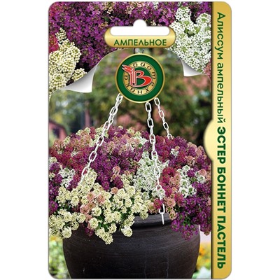 Алиссум ампельный Эстер Боннет Пастель