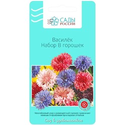 Семена Василёк Набор в горошек, арт.: 2867