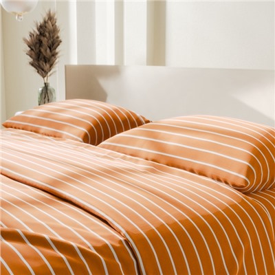 Постельное бельё Этель Евро Mustard stripes 200х217см, 220х240см, 70х70см-2 шт, 100% хлопок,поплин