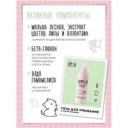 Happy Lab Набор средств для ухода за кожей лица Dream Face: Мицеллярная вода, гель для умывания, очищающая маска, 300 мл, 200 мл x 2