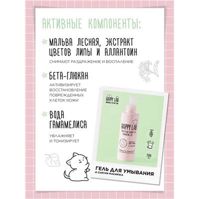 Happy Lab Набор средств для ухода за кожей лица Dream Face: Мицеллярная вода, гель для умывания, очищающая маска, 300 мл, 200 мл x 2