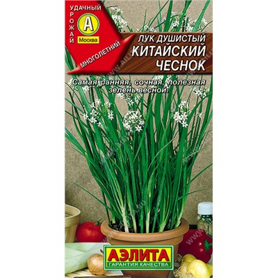 0496 Лук душистый Китайский чеснок 0,3гр