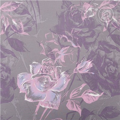 КПБ Мануэла поплин Арт Дизайн