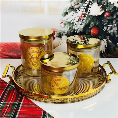 588-726 Набор из 3 банок для сыпучих продуктов 800/650/500мл. на подносе в под.уп.(х6)Стекло