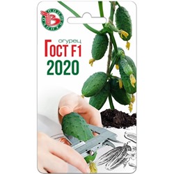 Огурец Гост F1 2020