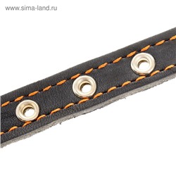 Ошейник кожаный на синтепоне, безразмерный, 37×1.5 см, ОШ 21-31 см, синий