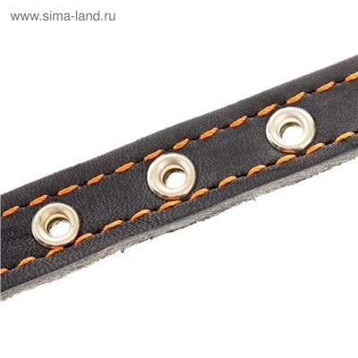 Ошейник кожаный на синтепоне, безразмерный, 37×1.5 см, ОШ 21-31 см, синий