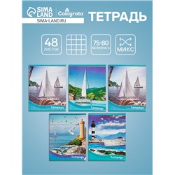 Тетрадь 48 листов в клетку, Calligrata «Корабли», обложка мелованная бумага, серые листы, МИКС